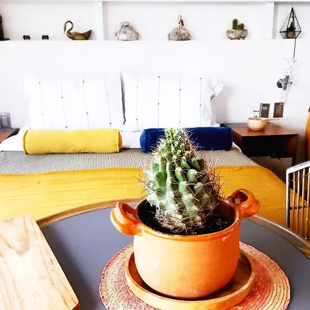 Loft Remedios - Penthouse Cdmx - Areas Comunes Compartidas