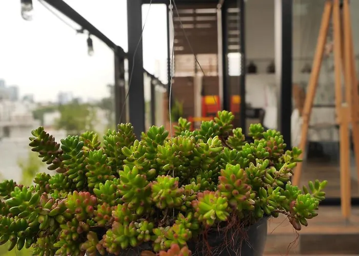 Apartamento Loft Remedios - Penthouse Cdmx - áreas Comunes Compartidas México DF